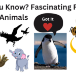 Fascinating Facts About Animals