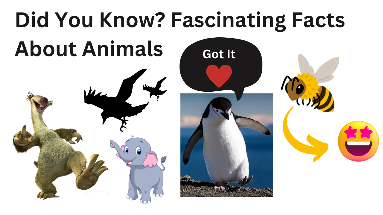 Fascinating Facts About Animals