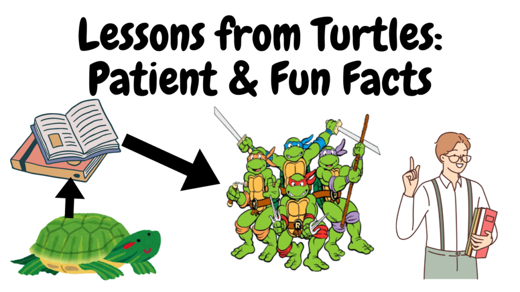 Lessons from Turtles Patient & Fun Facts