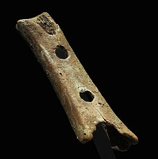 Divje Babe Flute oldest musical instrunments
