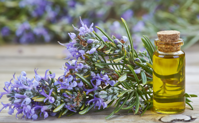 Rosemary Oil