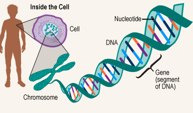 genetics