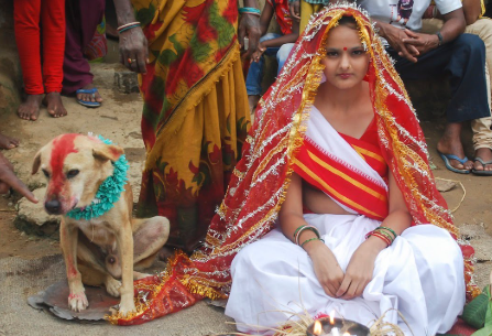 marring an animal for luck